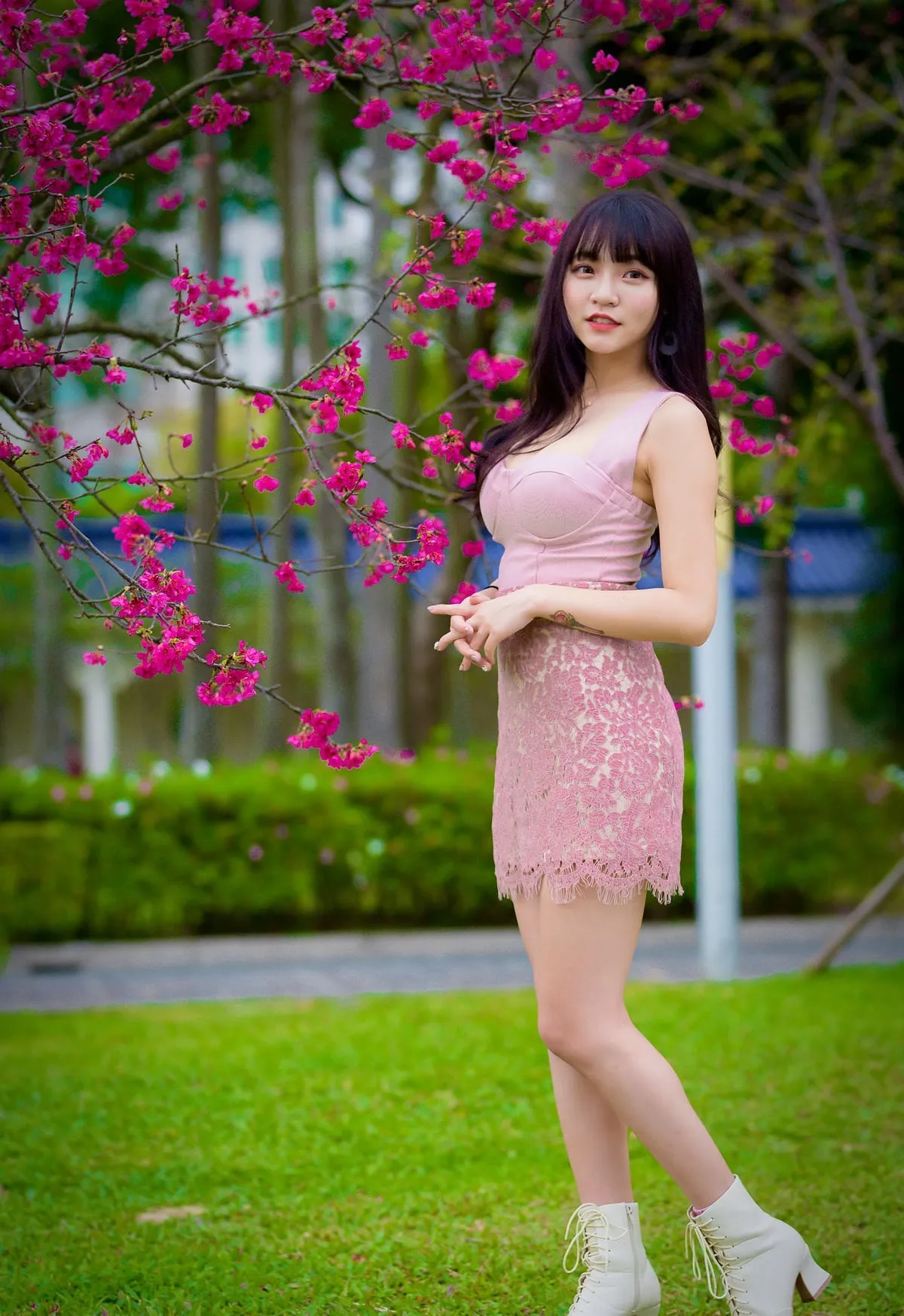 林襄mizuki身着粉色抹胸吊带包臀蕾丝裙站立于盛开的洋红樱花树旁