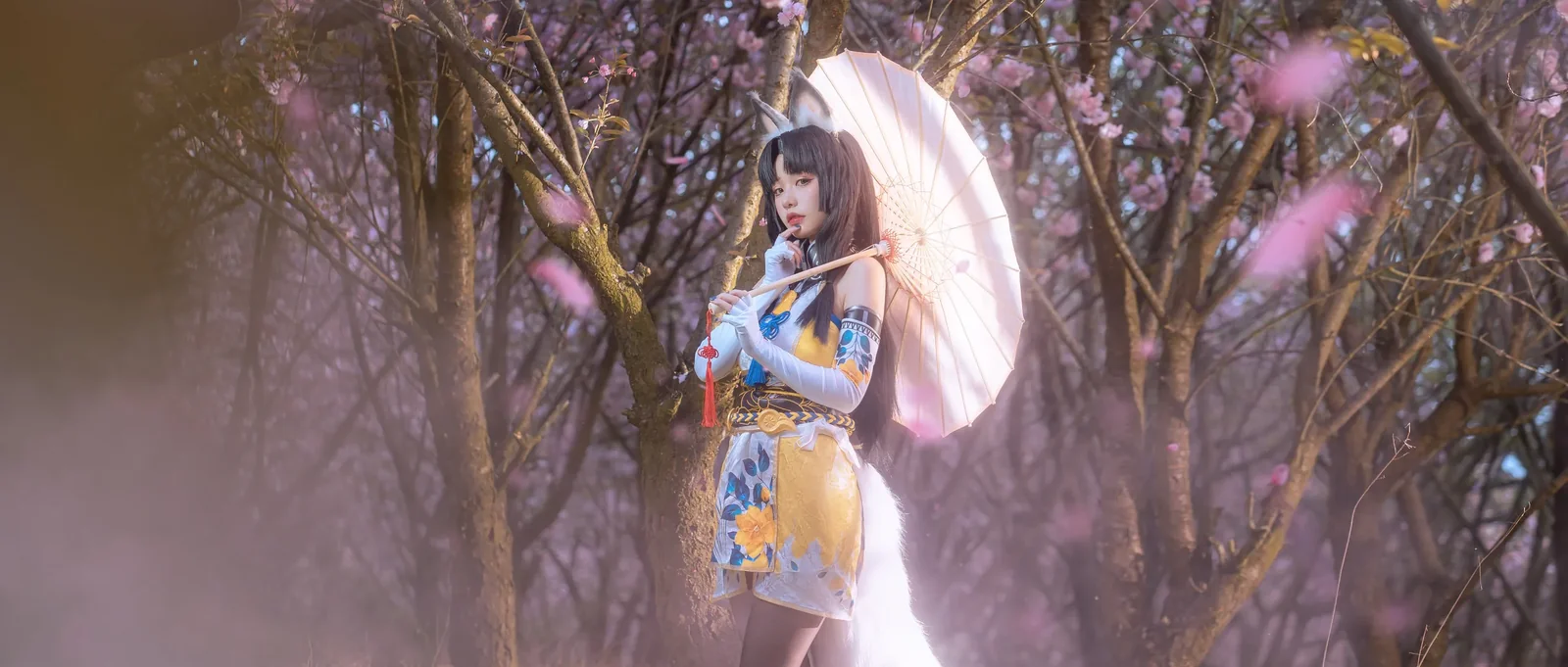 爆机少女喵小吉身着黄蓝相间短款汉服在外景树林中手撑油纸伞佩戴兽耳道具